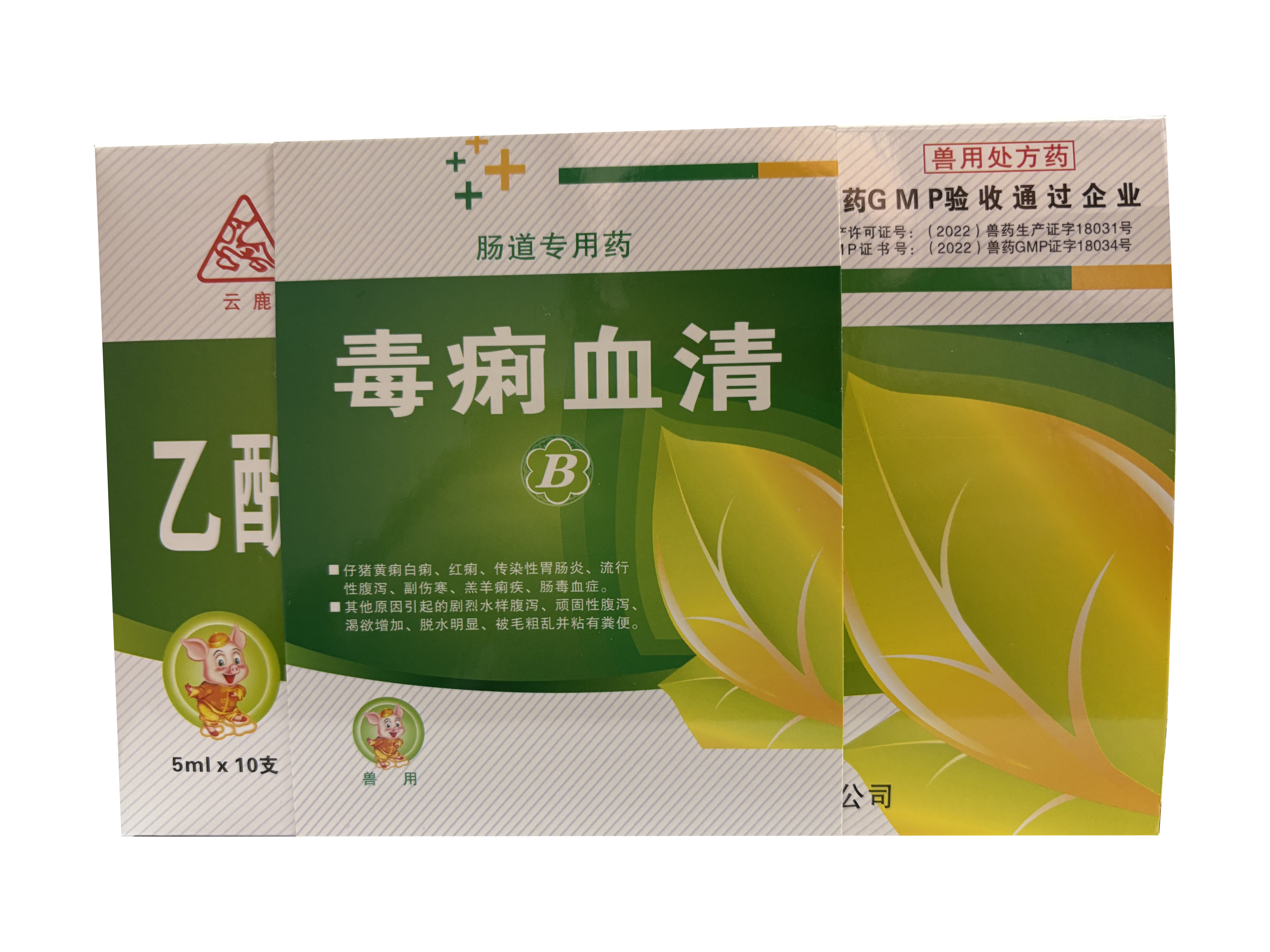 微信图片_20250305111054.jpg