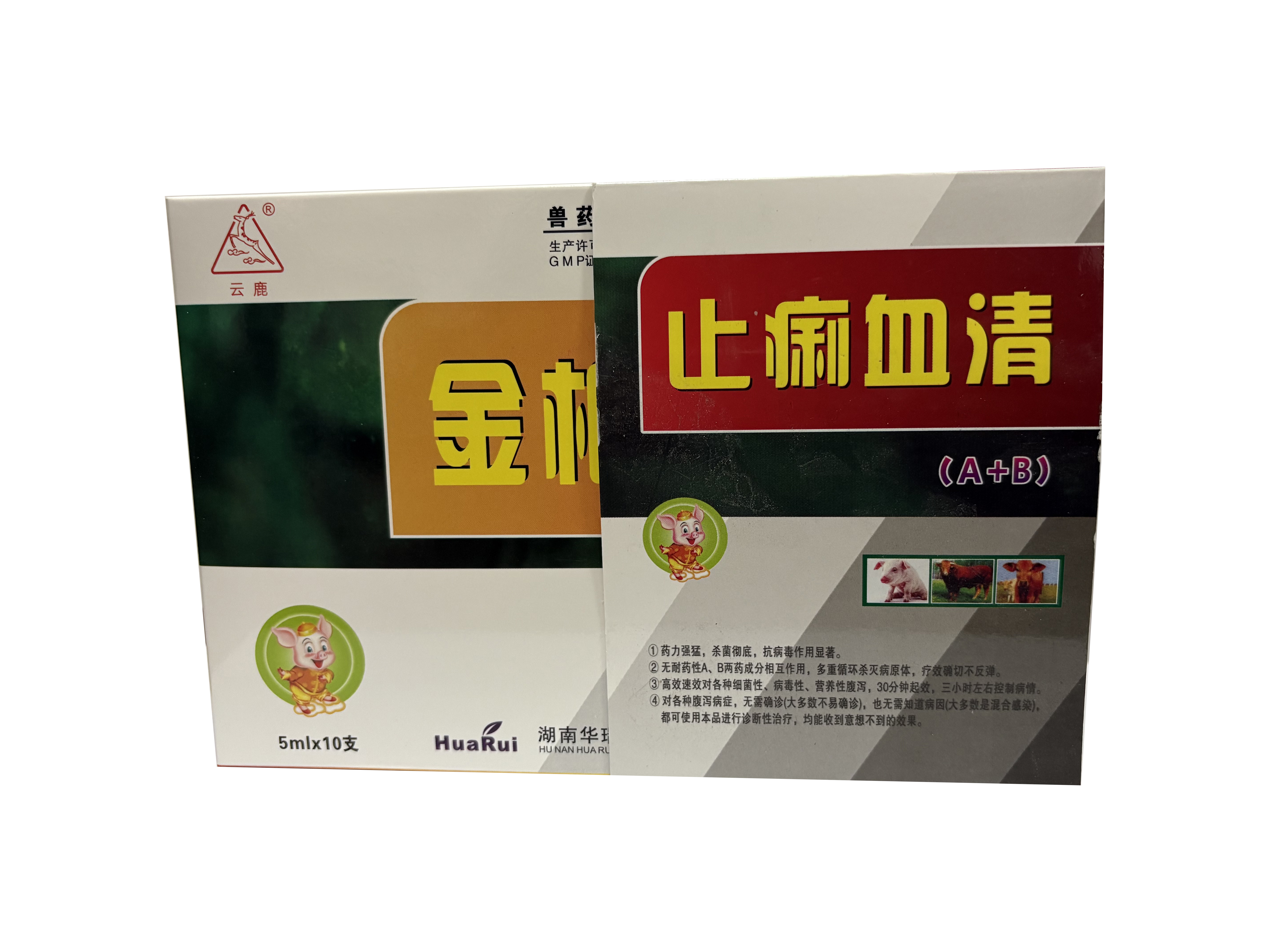 微信图片_20250305171538.jpg