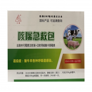咳喘急救包